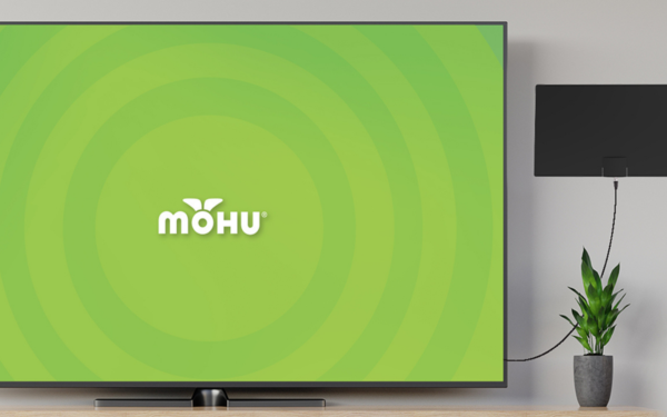 TV on the wall with a Mohu Leaf Antenna, Best TV Antenna of 2021