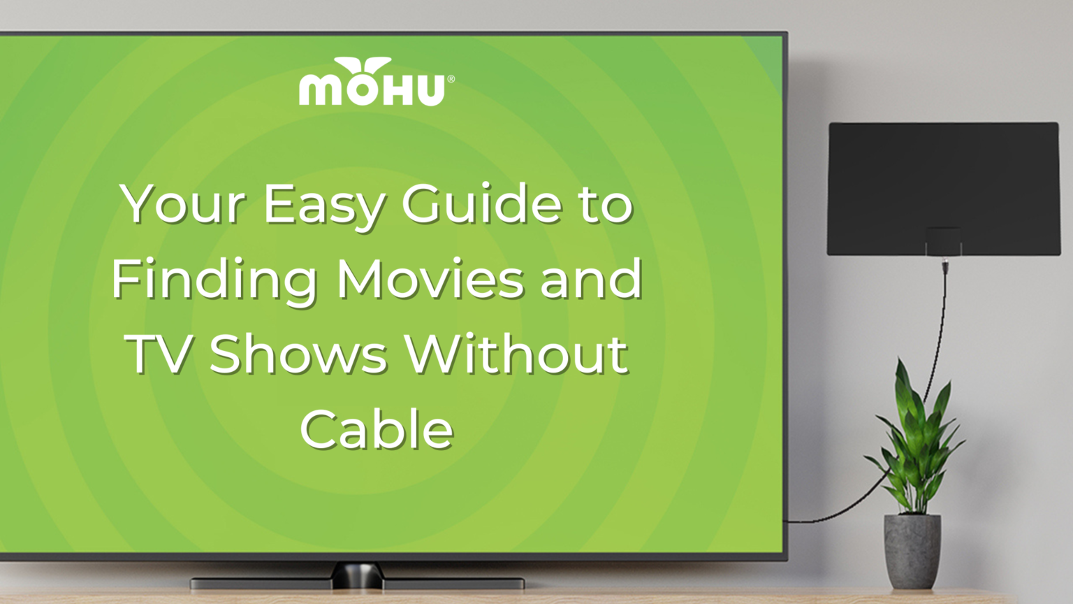 guest-blog-your-easy-guide-to-finding-movies-and-tv-shows-without